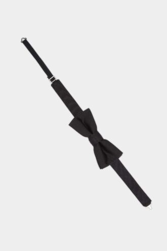 Papillon D2 Classic