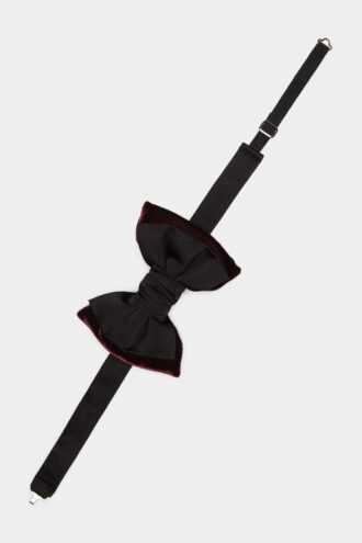 Papillon D2 Classic