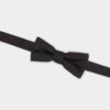 Papillon D2 Classic Papillon D2 Classic