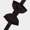 Papillon D2 Classic Papillon D2 Classic