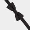 Papillon D2 Classic